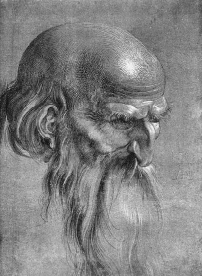 Albrecht Durer Head of an Apostle Looking Downward oil painting picture